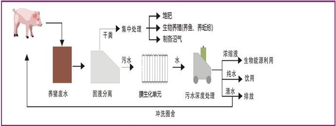 养猪场污水处理设备工艺及应用